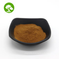 Extrato de cogumelo reishi de alta qualidade Ganoderma lucidum